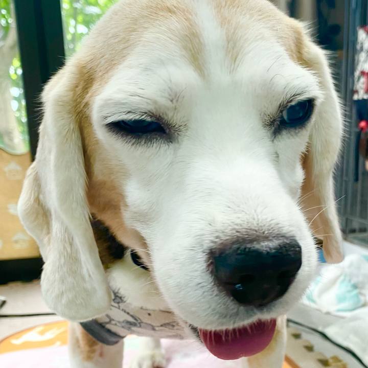 E1e99311 6b8d 4357 8608 bc685c6e8621 1666583936031