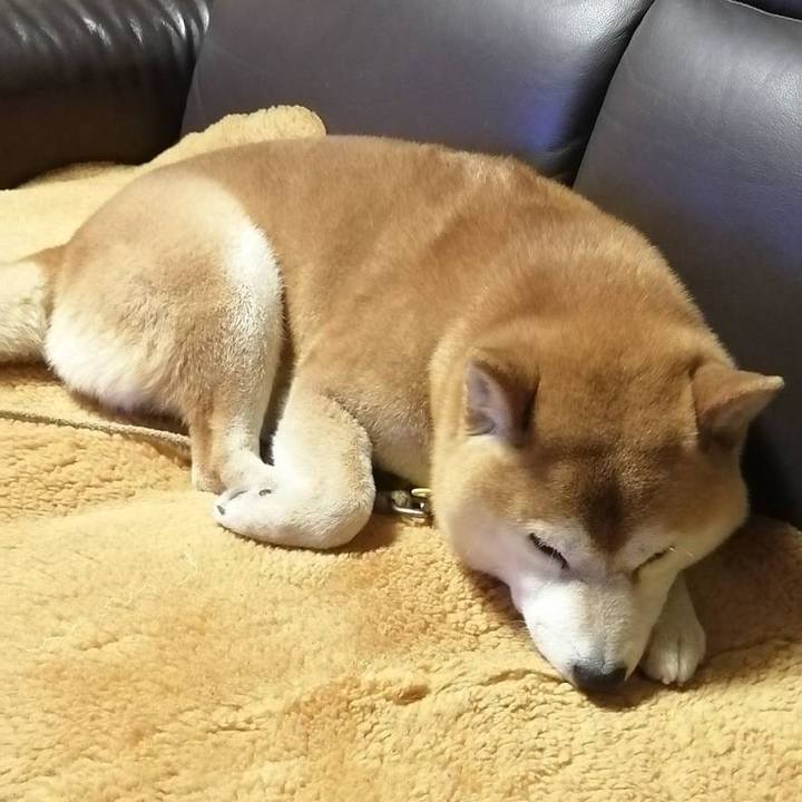 E1e998e9 5fdf 4644 b437 82e2a7058311 1588278906372