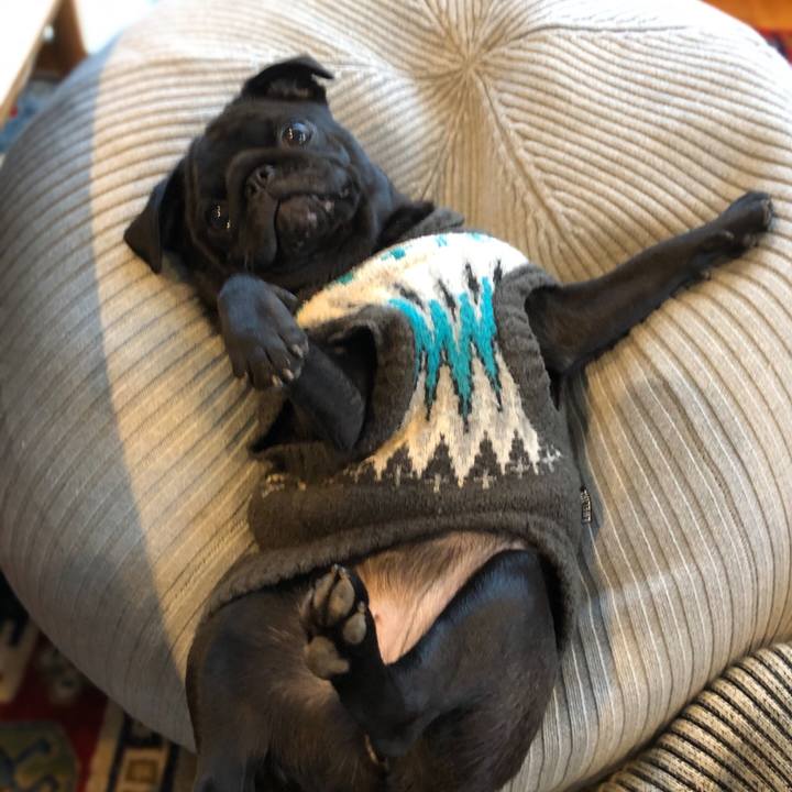 E1e9f266 4d16 4b02 8892 70a8156fa2c6 1611054158677