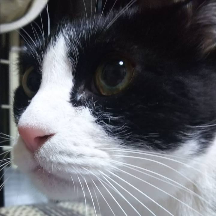 E1ea045c 3eed 4b7c 93f6 1dc228f52c56 1575323608100