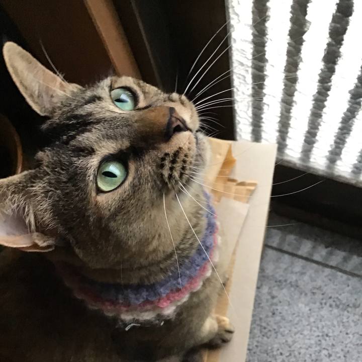 E1ea1b0e 7a53 4492 bf59 6ed43cac30d2 1625646763627