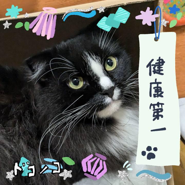 E1ea1b1f 887e 4ee5 9fe4 1fbead7c7f47 1720964884860