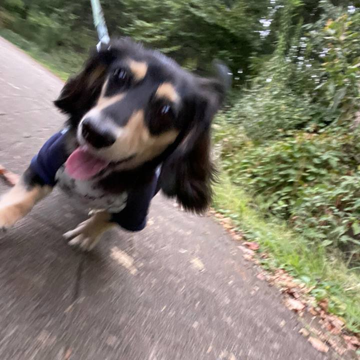 E1ea3477 dbf8 41c0 b5c6 8bc085cdca76 1695286125332