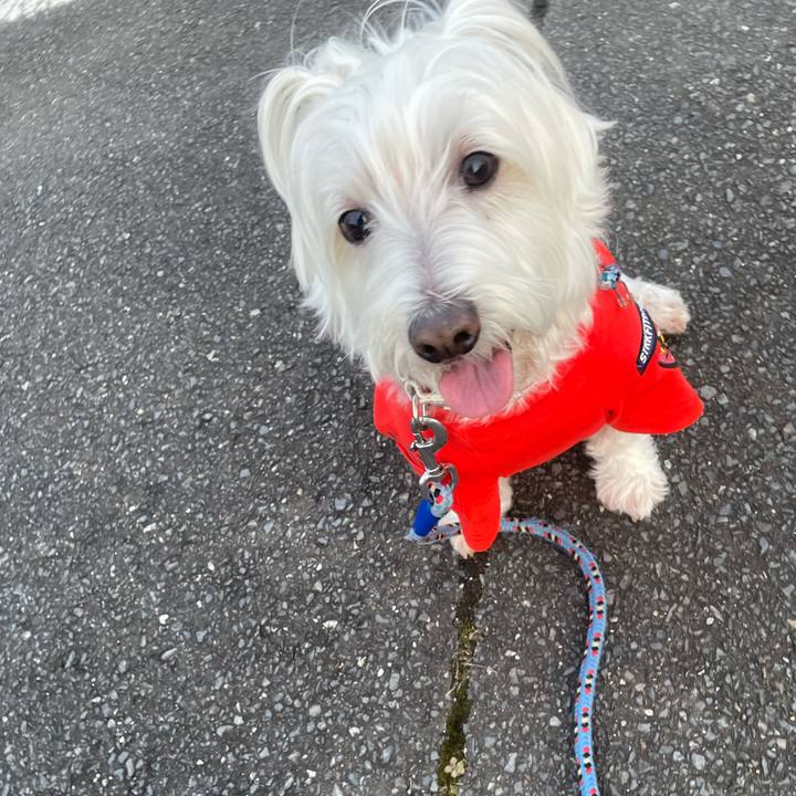 E1ea6624 0c54 41af a24d b67c7e6f8cb1 1734907321000