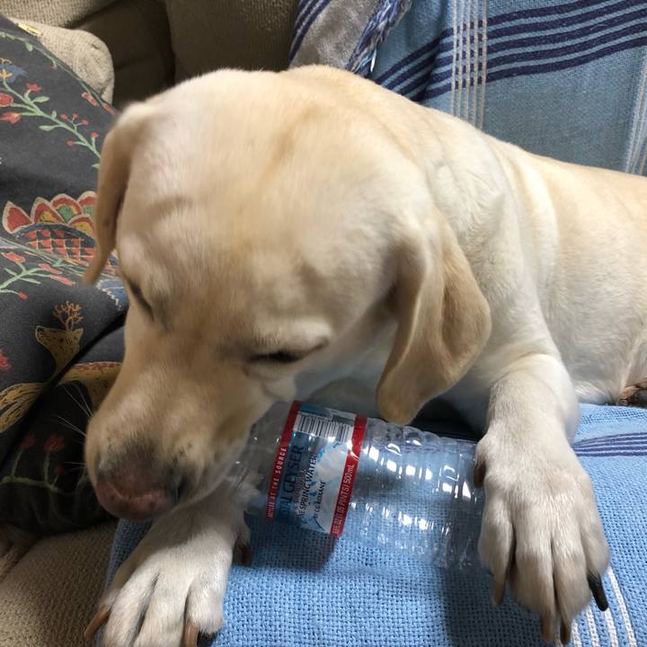 E1ea9572 24d2 4db3 9493 7fafad56c0d4 1570701820301