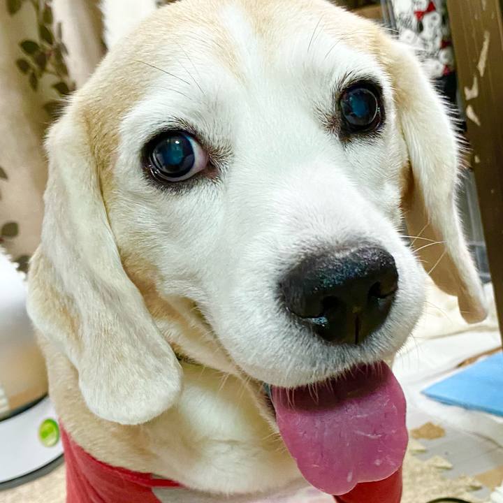 E1eac367 6d28 4ddc 9436 369fbcb30194 1654489956321