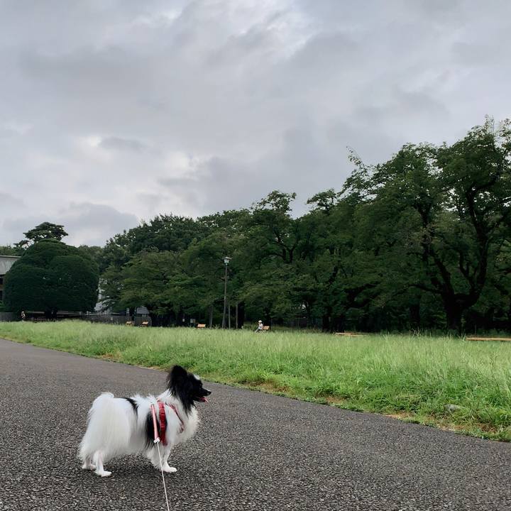 E1ead2a2 aa15 4ce9 b8cb 0ce624909c7f 1565867637704