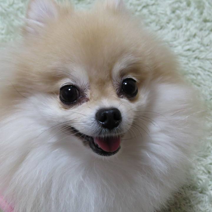 E1eadb34 4234 423a 9fad 0a158a9243f3 1508063806724