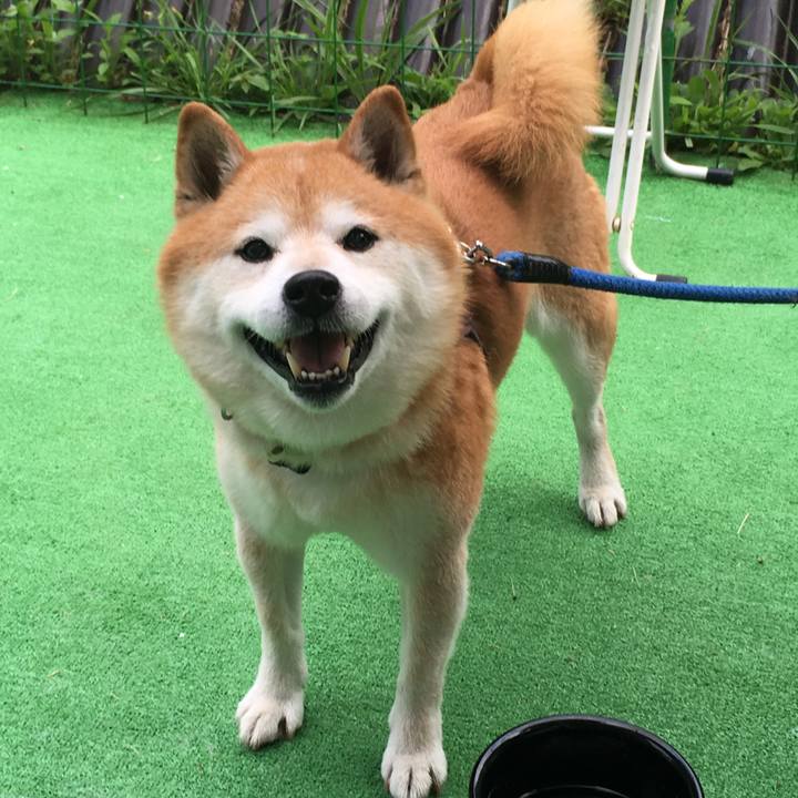 E1eaef69 f333 4a2d ba75 9dafd66e558f 1538783358916