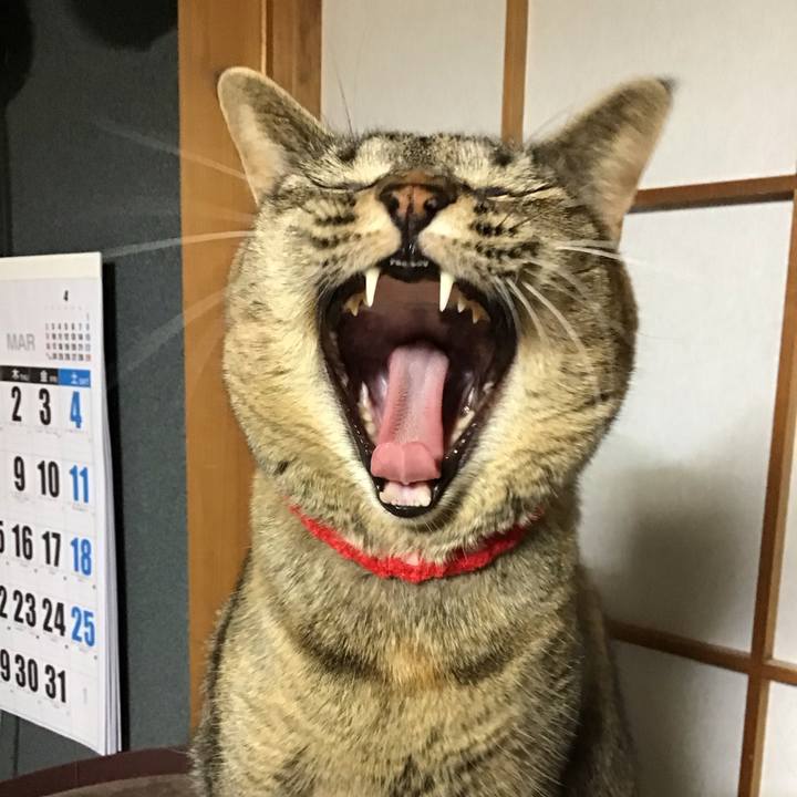 E1eaf371 fee6 4924 a118 db553951a22a 1678877582050