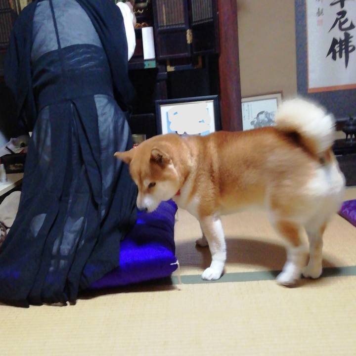 E1eb35af 1bcf 43e6 9fd8 e2ada3f90d08 1628994706663