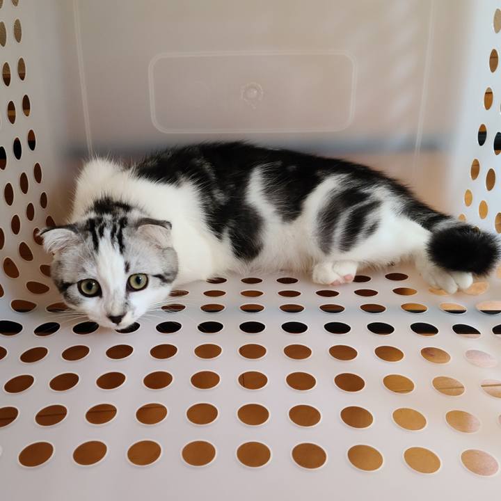 E1eb53d8 ba18 4b3c bece 0269f91d1411 1629447660039