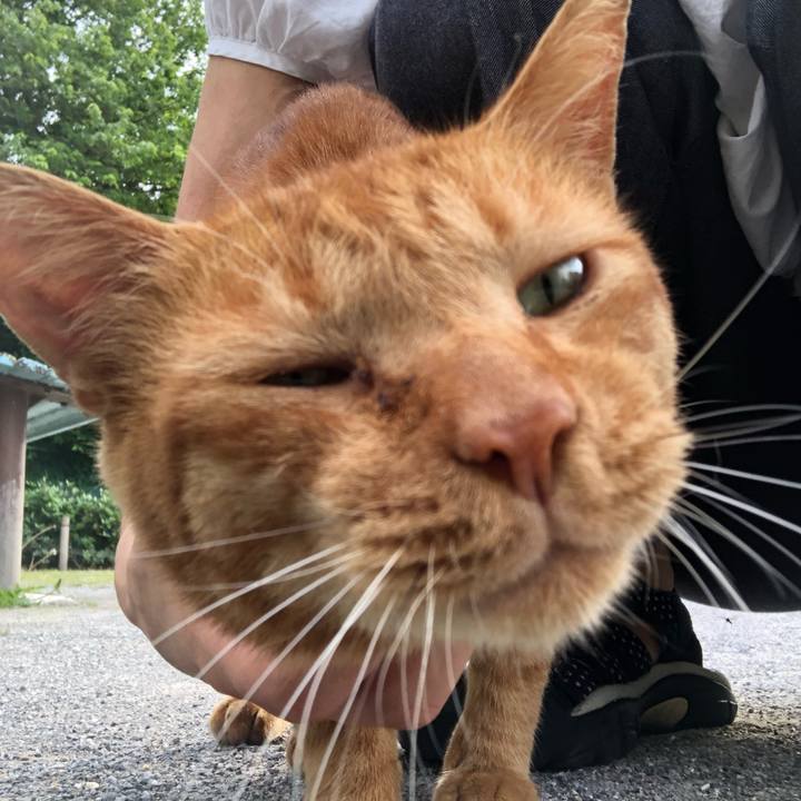 E1eb6304 0327 4181 a31e 116b3ca87f52 1528551321744