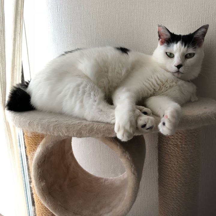 E1eb6dde 64b7 4370 af8d a28a772a7912 1539818416766