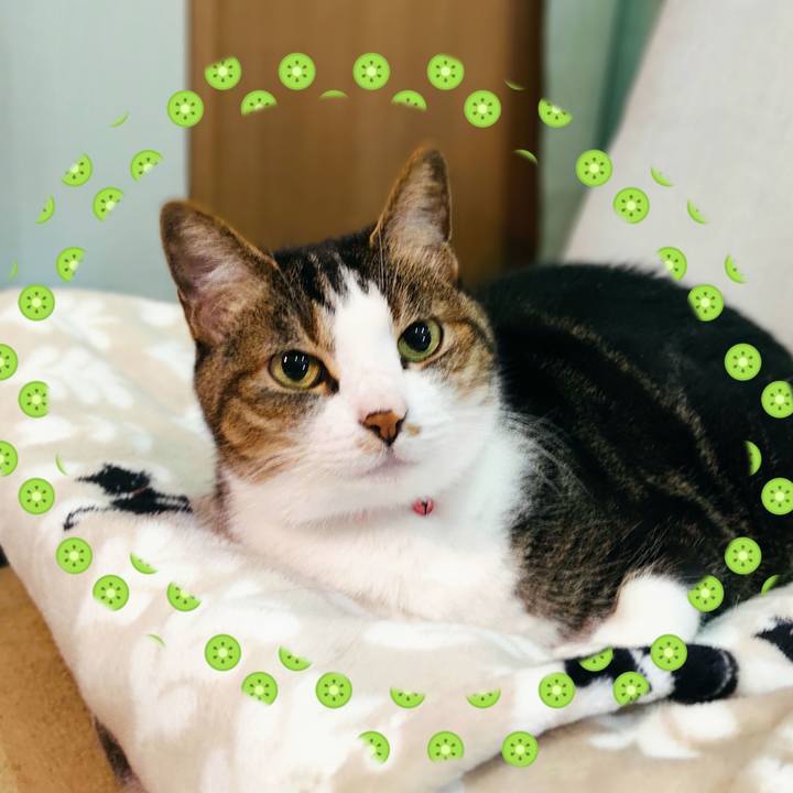 E1eb833e 08df 43a2 a6df 708f2650d305 1624794503135