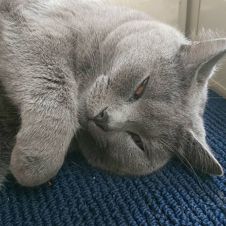 E1eb88a4 e4d2 4e88 8442 1334931e8f29 1571117367349