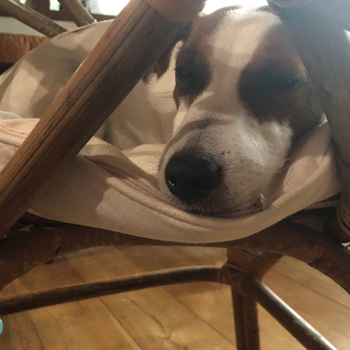 E1eba862 b3bd 4a7e b958 200df2fe8caa 1561632250778