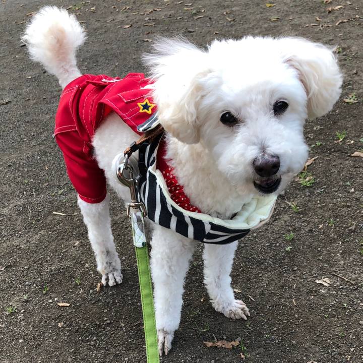 E1ebb601 d4fe 40fa b7a5 e95426d73146 1543787763263