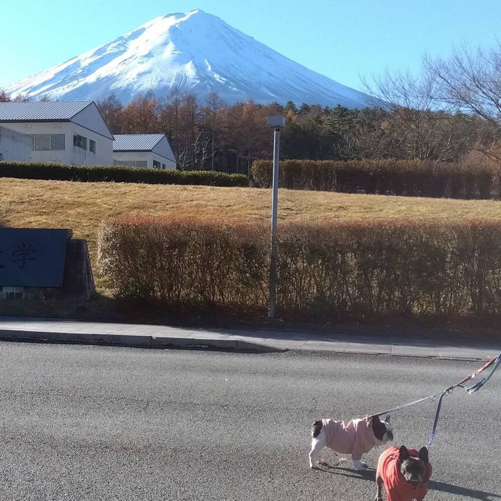 E1ebd979 8a80 43fe ae78 adcbc160bc37 1732947267516