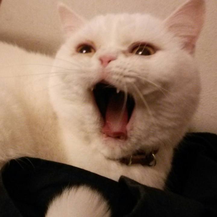 E1ebe5f2 b132 4d5b 8a89 65eb01821d86 1520593568474