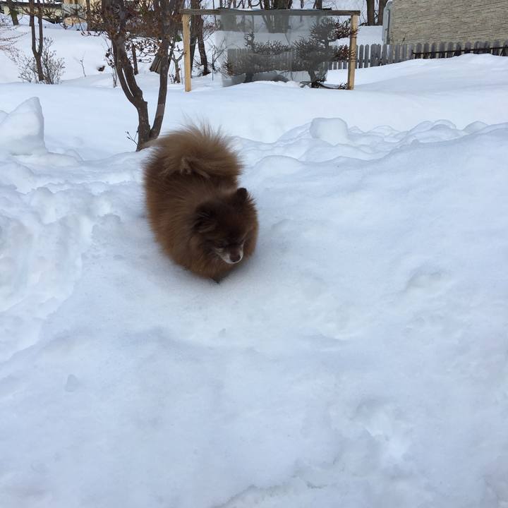 E1ebf24c d779 4975 8f4e ae8819214d35 1516253803130