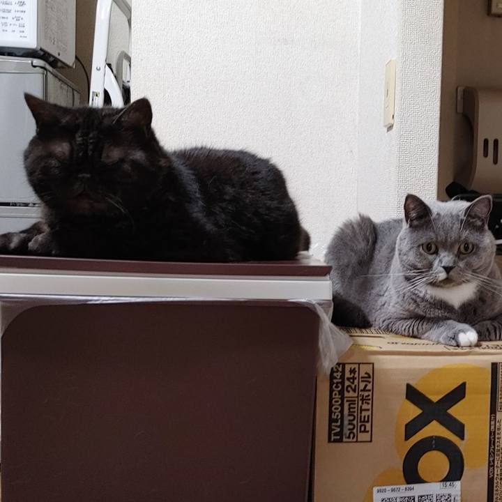 E1ebf640 b03f 4525 91a1 ef60561b7ba6 1628545677798