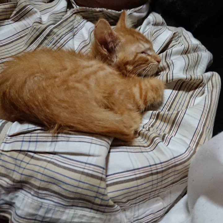 E1ec04ba 7f34 4d8e ad69 dcf87f569cb5 1628943465918