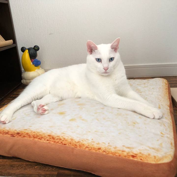 E1ec5375 b4a1 45fc b407 f55b1718cfdd 1538915326907