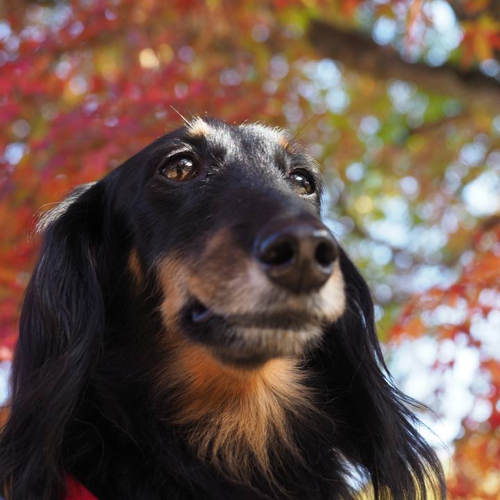 E1ec8170 cff7 448f 9bc4 5672c9f65c28 1605496876586