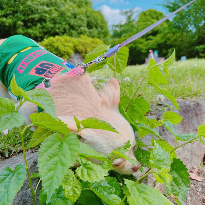 E1ec8cb4 f501 419d 9907 4357a6181755 1653742512112