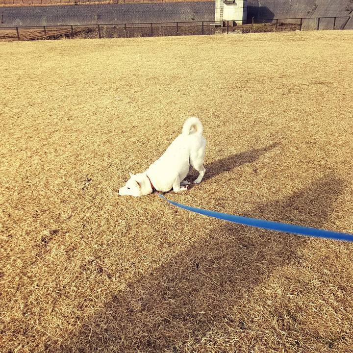 E1eccebe ba8d 4f91 a3e2 36fbcb4c3a37 1513849697708