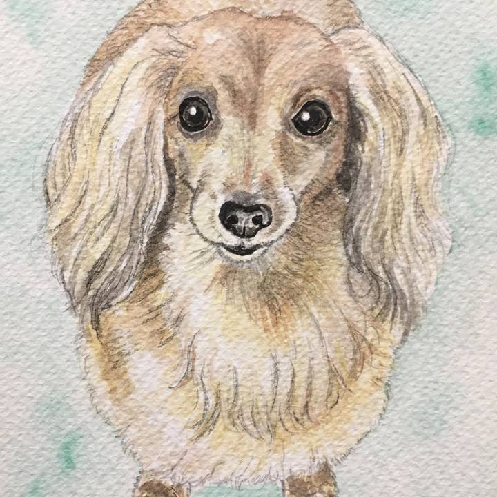 E1eccf70 2da2 4af4 b985 b73813037289 1562332514553