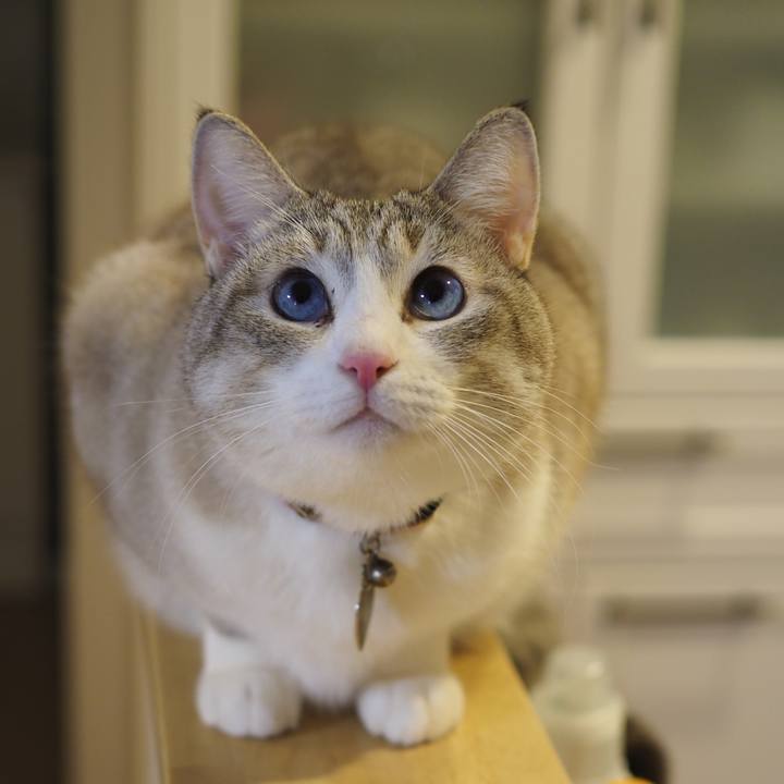 E1ed01a3 8073 434d 9466 0089a96117ca 1642240121799