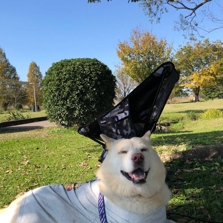 E1ed0354 5145 4163 9a63 b6c89b880516 1605081344625