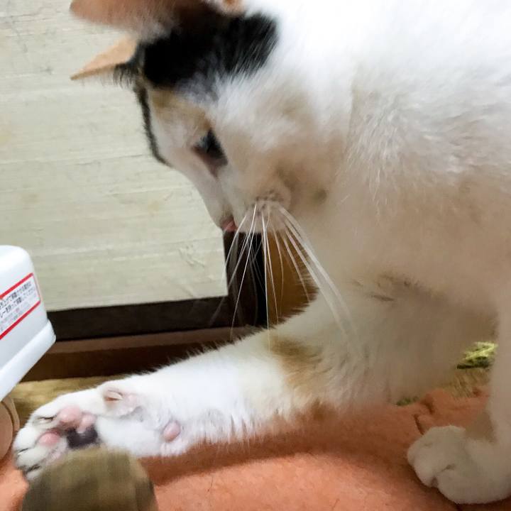 E1ed05a9 43e6 4043 9a89 460957cb53ae 1511441053968