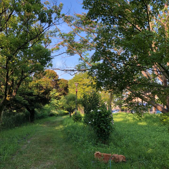 E1ed0e25 8cff 469e bf6a 9c1a7c930321 1561498299645