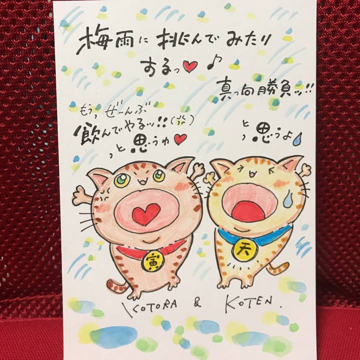 E1ed637e a476 406e 998a 0042f493213c 1563374171024