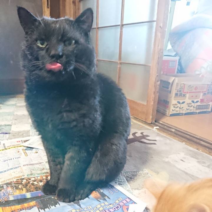 E1edb7e4 9712 4177 be42 8cb467f21103 1652220531773