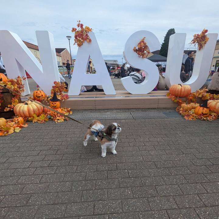 E1edd87d 1cc0 4ce0 aef3 3614a6e5d394 1762139187502