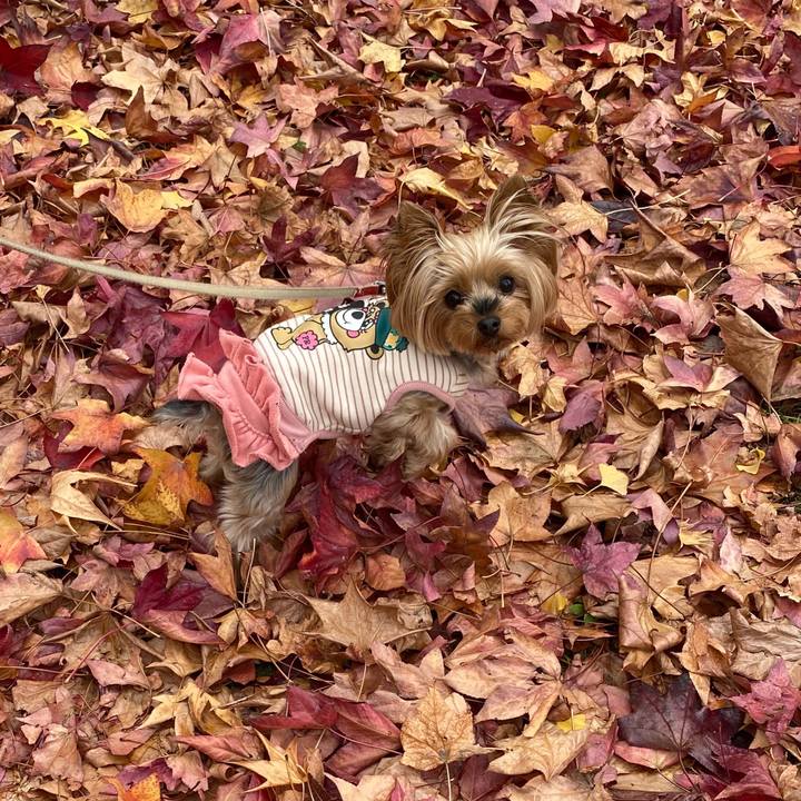 E1eddbd0 2649 4e5c b541 509b089102f5 1669174645975