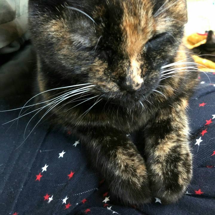 E1edf9d6 5eb4 4700 bb4a efb99e31ad41 1608773720394