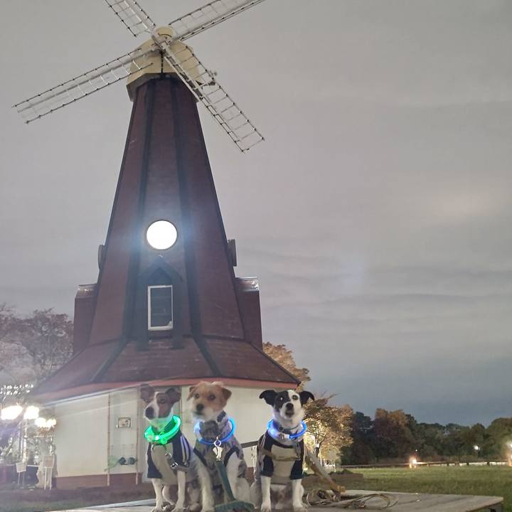 E1ee4c5c 603b 4006 8e4d fabddeed1d7f 1699693054496