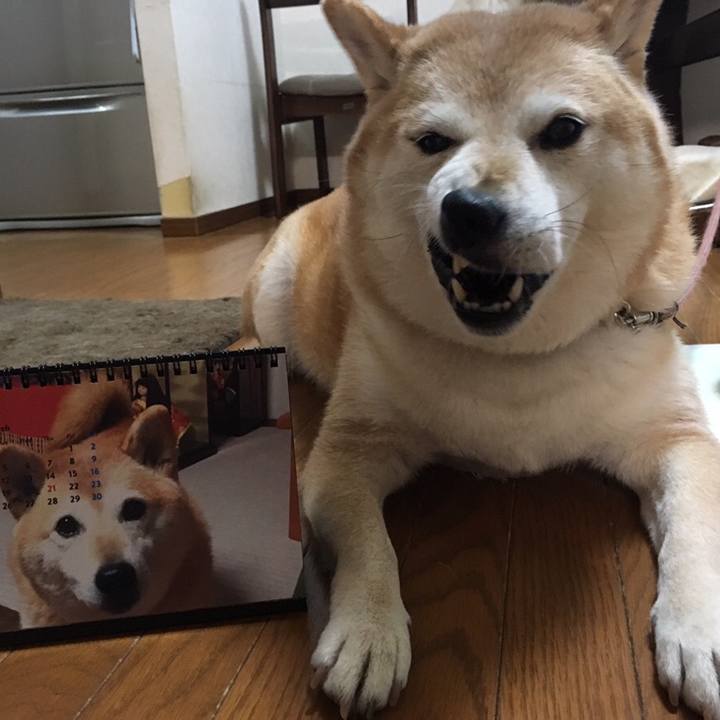 E1ee66fc b2d6 41b5 9ce4 127ee433cef1 1546069919315