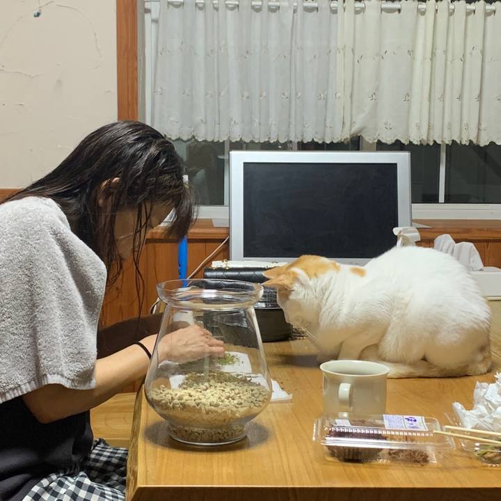 E1ee8ba2 7048 4ea1 9f4f dca8d361fb8c 1651587588445