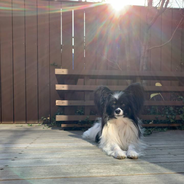 E1ee97e3 6c9f 4fd8 9ccb e666b650a686 1578900341775