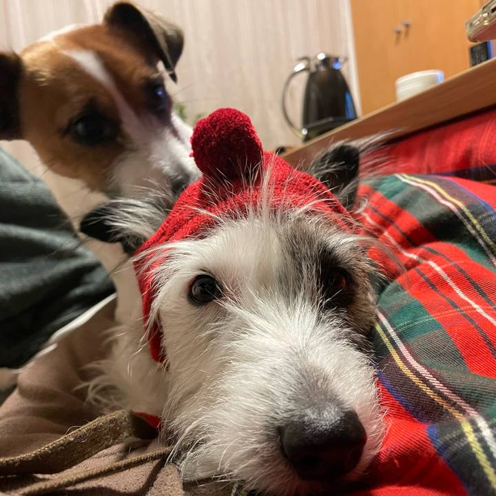 E1eee25e 38e4 4e59 8c69 def507ea780c 1640046644246