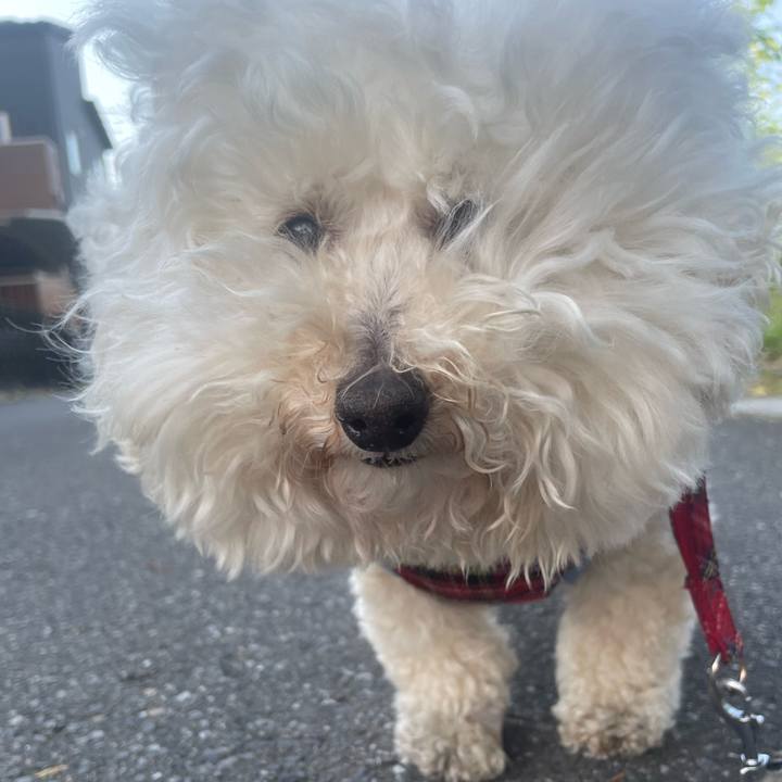 E1eef833 e8d4 415c b061 1bc2aca0ddda 1759242561458