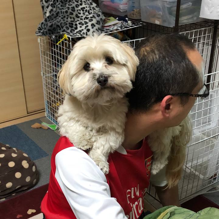 E1ef0906 b2a8 4b92 b82b 16a3187146ff 1514379450433