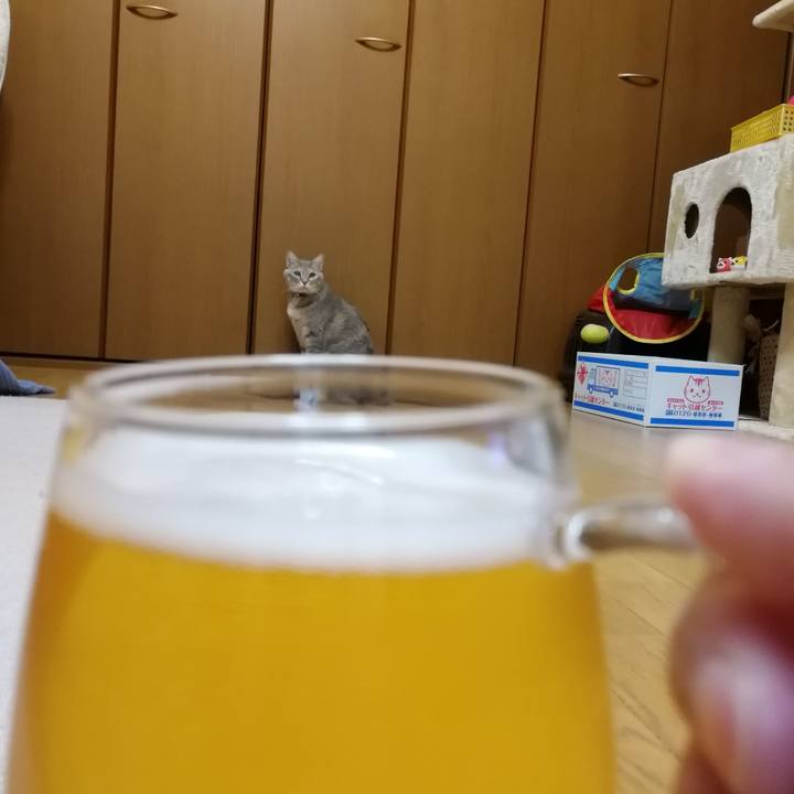 E1ef5cbc 15a0 4e62 bcba 666531d5d191 1548510451893