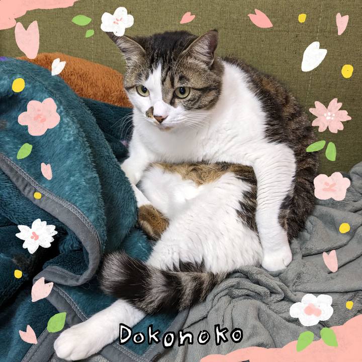 E1efa795 50ec 4076 981d 880181249dcb 1711068162841